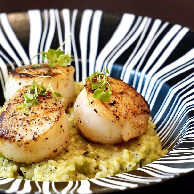 Sea Scallop