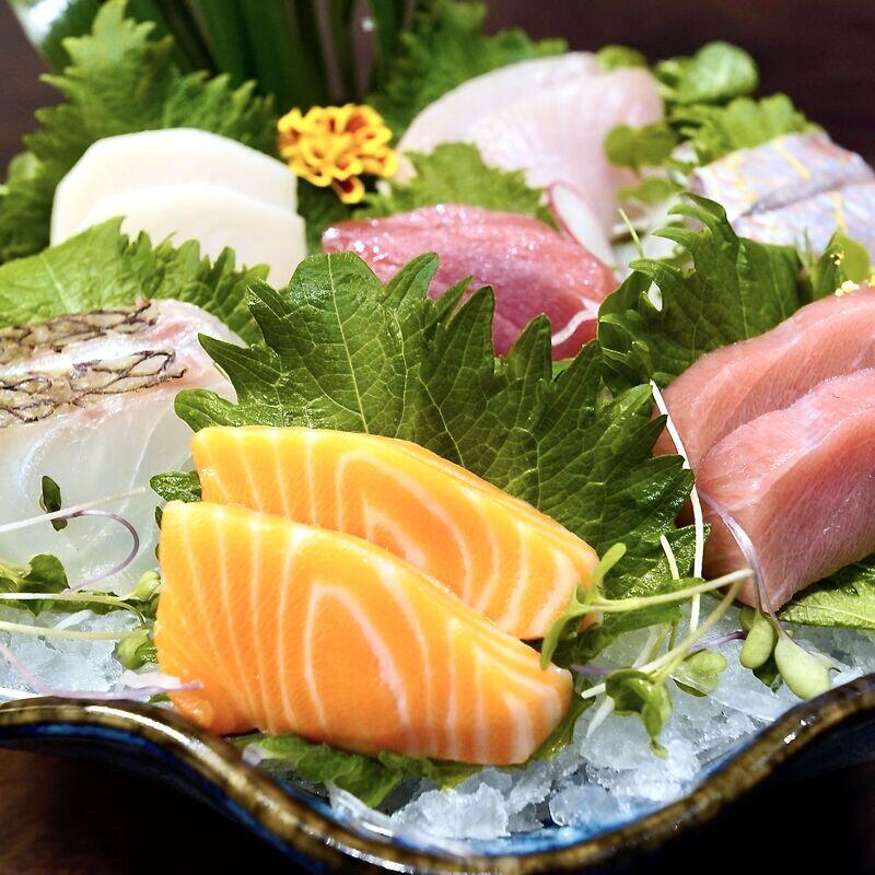 Sashimi b